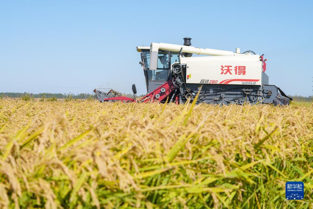 天盛娱乐44616